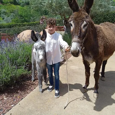 Casa El Descanso Del Peregrino