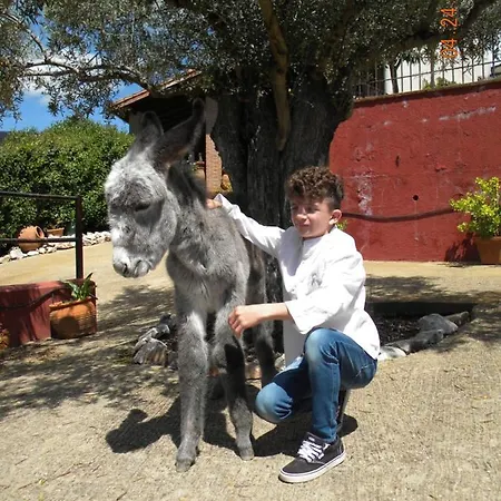 Casa El Descanso Del Peregrino Kro Guadalupe (Extremadura)