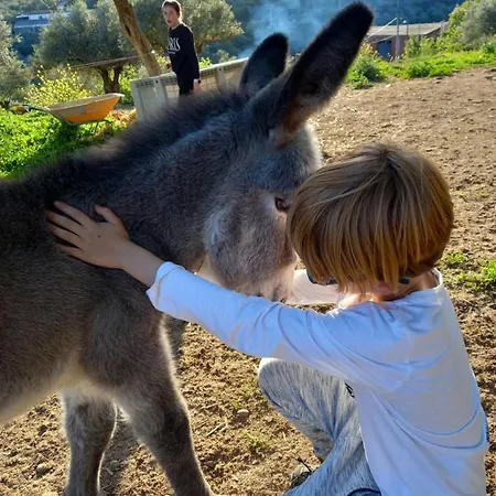 宾馆 Casa El Descanso Del Peregrino 瓜达卢佩