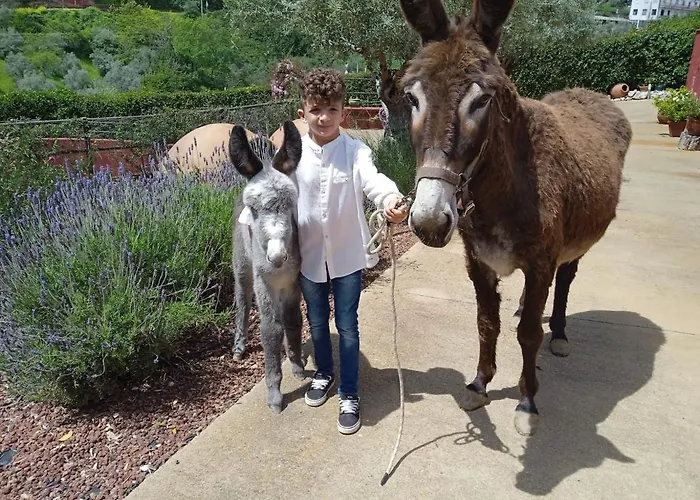 Casa El Descanso Del Peregrino