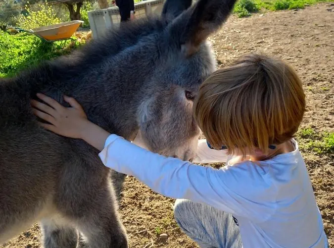 Inn Casa El Descanso Del Peregrino Guadalupe (Extremadura)